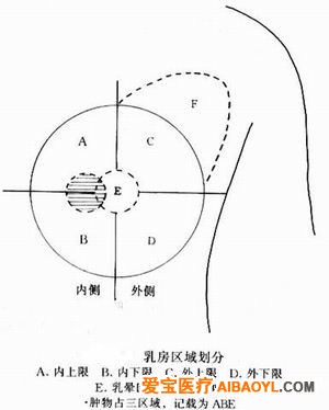 認識乳腺鉬靶照片 - 馬夫 - 馬夫的博客