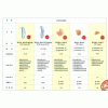 西門子lnfiniti（快樂先鋒）Basic 耳背式助聽器