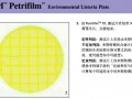 3M耗材系列 3M環(huán)境李斯特菌測(cè)試片