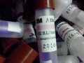 生物指示劑的制備