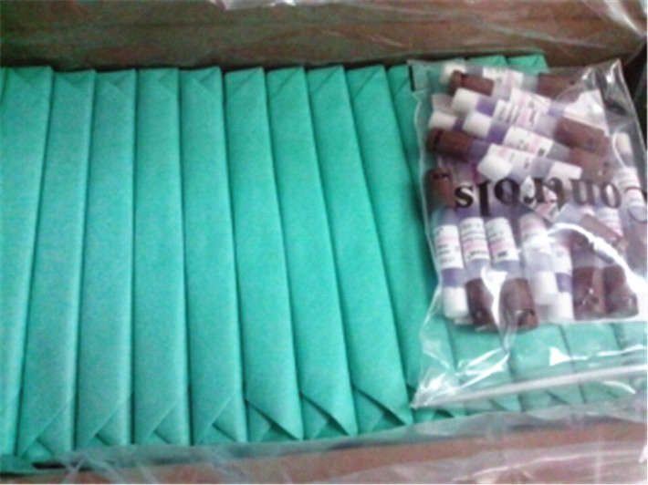 41382     綜合挑戰(zhàn)測試包   710. 6_副本