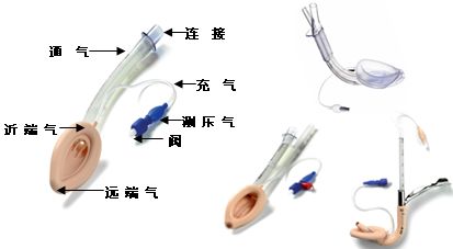 吼罩結(jié)構(gòu)