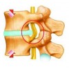 有關(guān)腰椎病危害的一些介紹