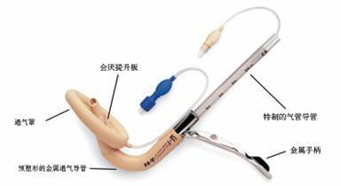 氣管插管喉罩