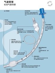 氣管插管文字