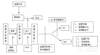 擔(dān)心 ACEI 不耐受?直接「首選」ARB 類行不行