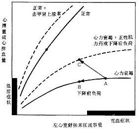 別光記心衰口訣：強(qiáng)心藥活學(xué)活用 3 大注意