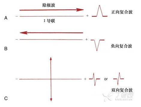 快速掌握：正常心電圖的形成機制與判斷要點