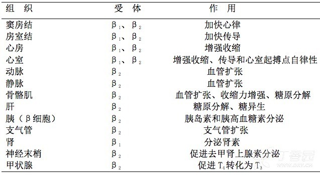 降壓必備：β 受體阻滯劑  這 7 條用藥建議需記住