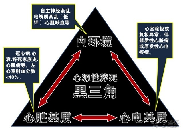 中甲外援蒂奧特辭世：聊聊猝死的四環(huán)鎖鏈