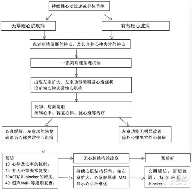 一圖總結(jié)：心律失常性心肌病的處理流程