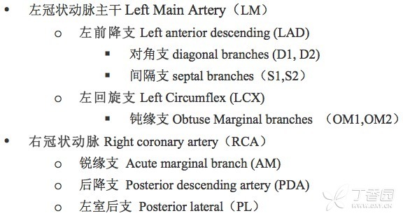 入門必備：冠狀動脈 CT 解剖及變異