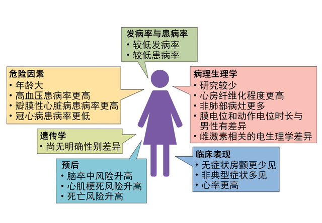 男女有別：略說女性房顫二三事