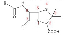 青霉素皮試陽性 能否繼續(xù)用頭孢,？