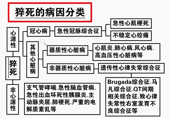 實用手冊：急救速記口訣之猝死篇