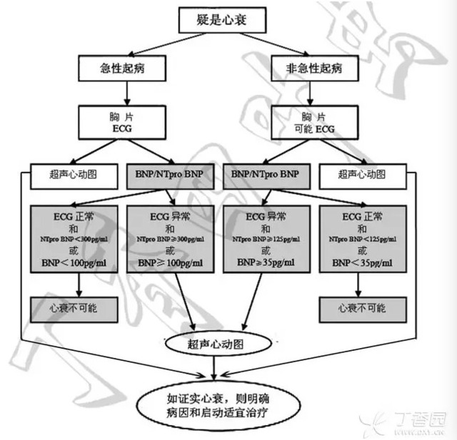 全面解讀心內(nèi)科常用指標(biāo)：B 型利鈉肽