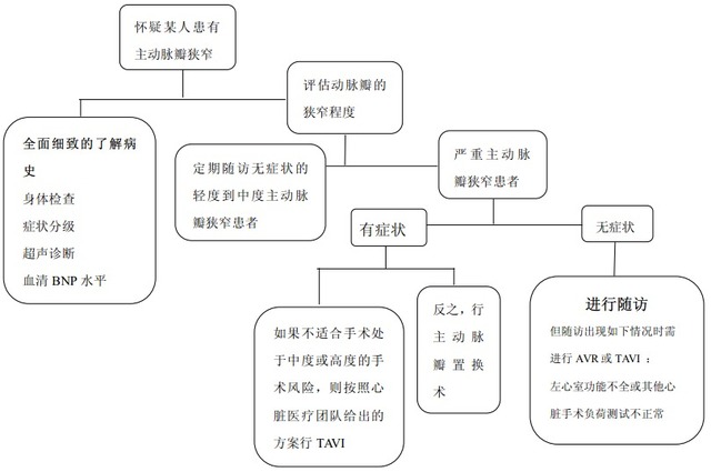 手把手教程：老年患者的主動脈瓣狹窄