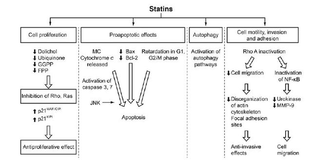 你可能不知道 這些他汀類藥物還可以抗癌