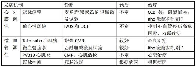 非阻塞性冠脈粥樣硬化所致急性心肌梗死的機(jī)制和治療