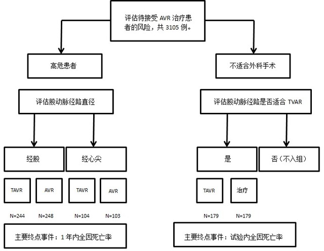 正方觀點：低危或年輕患者適用經(jīng)導管主動脈瓣置換術(shù)