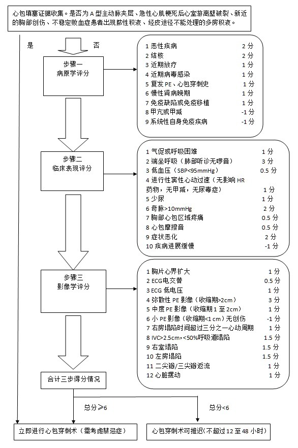 歐洲心包填塞治療及評(píng)分指南(視頻+圖文)