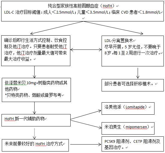 純合型家族性高膽固醇血癥診療歐洲指南意見書