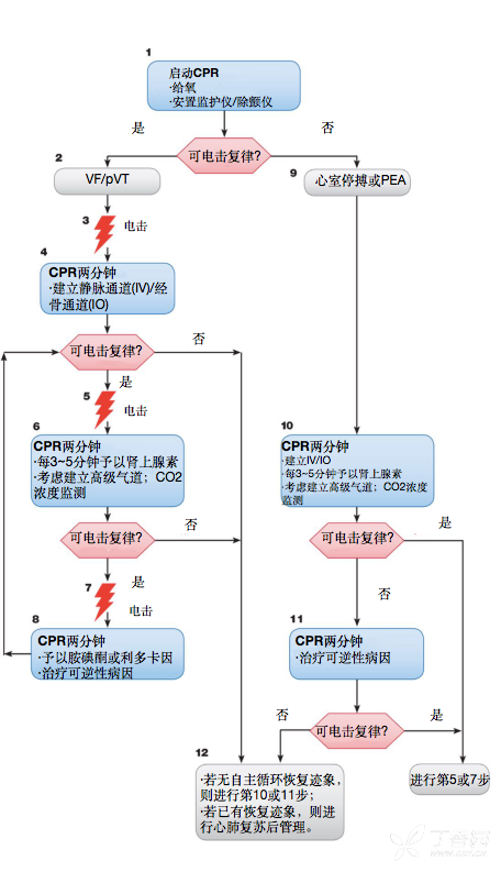 2018AHA 心肺復蘇指南更新