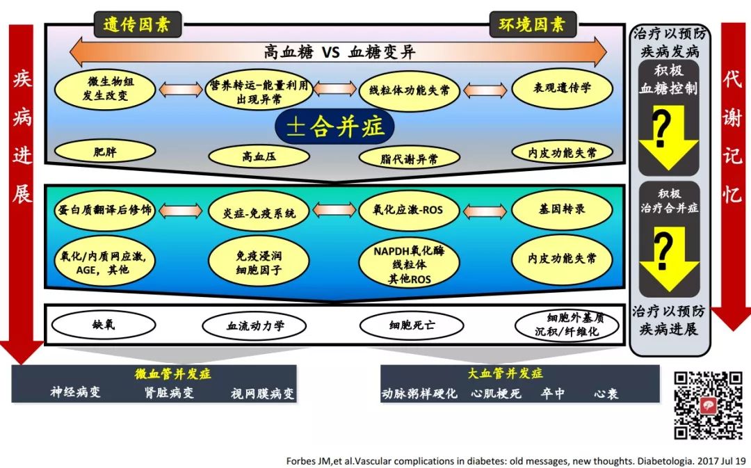 圖文詳解：糖尿病血管并發(fā)癥研究進展 4 大要點
