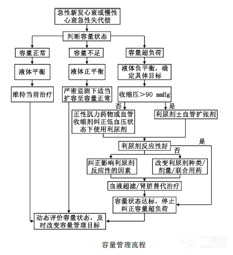 從入門到精通：心衰容量管理「三步法」