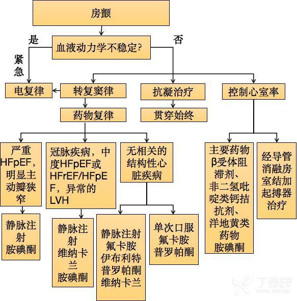 急性房顫處理：一圖牢記流程