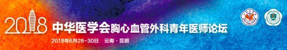 「從心看世界 TAVI 心論壇」啟明醫(yī)療亮相 2018 胸心血管外科青年醫(yī)師論壇