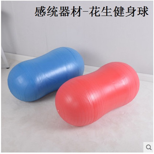 幼兒園兒童加厚防爆健身球感統(tǒng)訓練器材康復平衡按摩球
