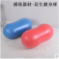 幼兒園兒童加厚防爆健身球感統(tǒng)訓(xùn)練器材康復(fù)平衡按摩球
