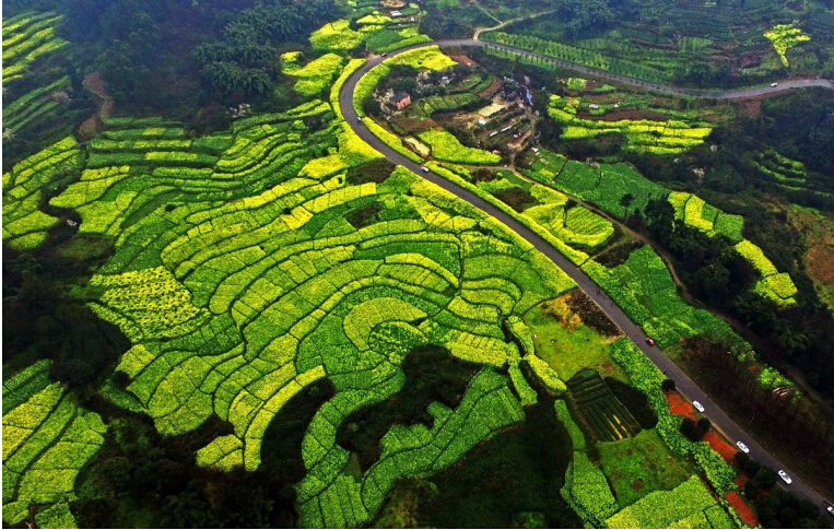 天府孔雀城：蒲河畔，新城央,，精筑生態(tài)宜居樣本