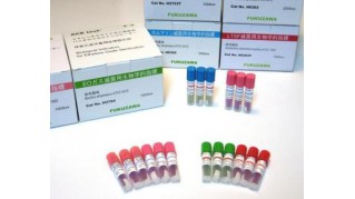 ACE test福澤愛斯干熱滅菌生物指示劑