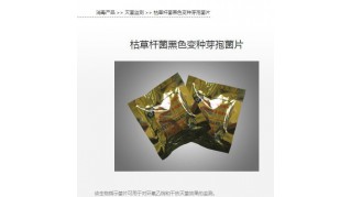 枯草桿菌黑色變種芽孢菌片